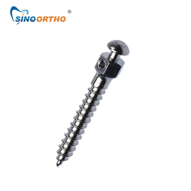 Orthondontic Mini Implants 