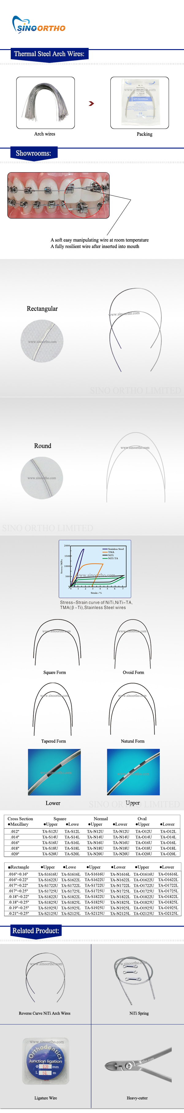 Thermal-Steel-Arch-Wires