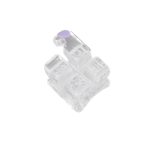 Pure Clear Series Sapphire Brackets