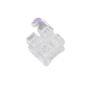 Pure Clear Series Sapphire Brackets