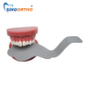 SINO ORTHO Bendable Photo Contrastor--Occlusal