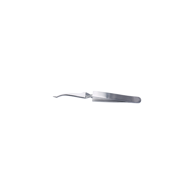 Buccal Tube Holder