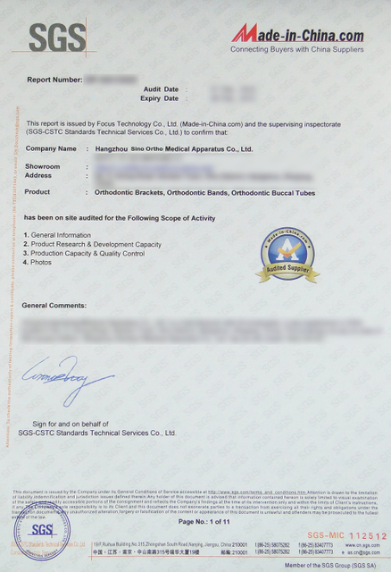SGS Audit