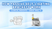 //iirnrwxhplkn5p.leadongcdn.com/cloud/plBqmKjkSRplooknpjip/passive-brackets.jpg